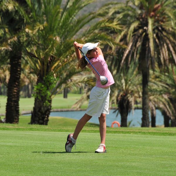 ProLift Training Blocks