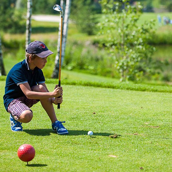 ProFlex Muscle Roller